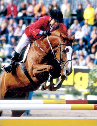 ET Showjumper